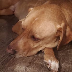 Meet your Posher, Kaiden